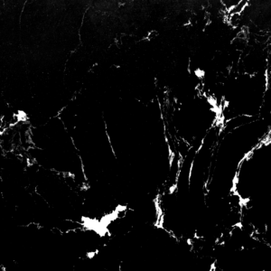 Black Marquina