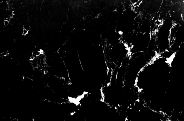 Black Marquina