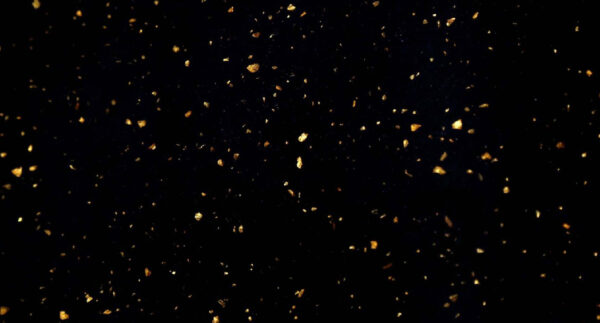 Celestial Black